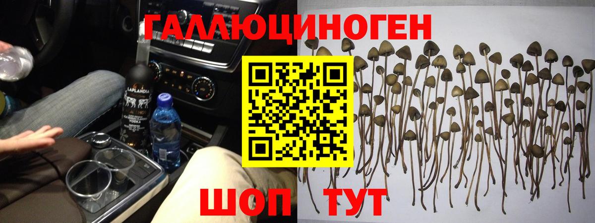 Псилоцибиновые грибы Cubensis  Галлюциногенные грибы мухоморы  Элиста  Вход с VPN 